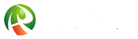 響應(yīng)式網(wǎng)絡(luò)建設(shè)設(shè)計(jì)公司網(wǎng)站模板(自適應(yīng)移動(dòng)設(shè)備)